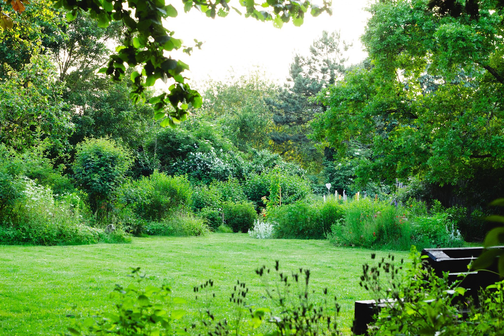 lila bunt Garten