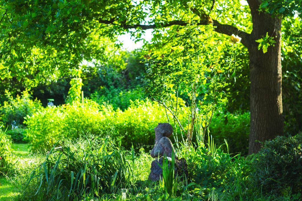 Frei - Raum - Ökosystem Garten