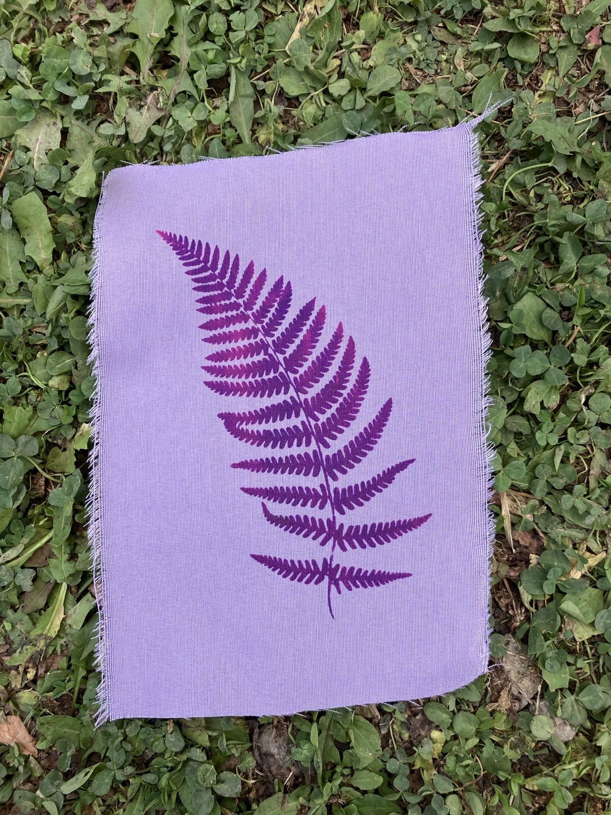 Kraut & Queer - ein Wildkräuterseminar für Queers