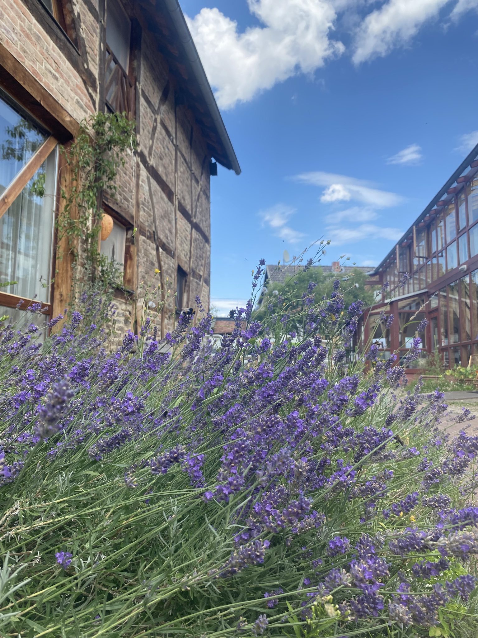 Krav Maga Workshop - Empowerment in DGS